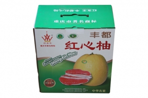身邊常常出現塑料袋承重不行問題，你有真正了解過嗎