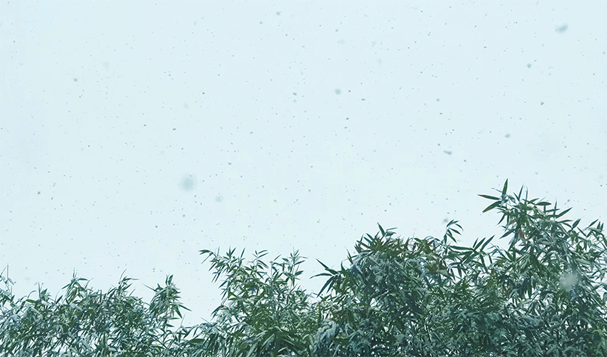 雪天穩產無憂！好色先生污视频好色先生免费下载冬季適配方案 + 專業維護指南